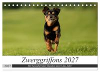 Zwerggriffons 2027 (Tischkalender 2027 DIN A5 quer), CALVENDO Monatskalender