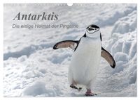 Antarktis, die eisige Heimat der Pinguine (Wandkalender 2027 DIN A3 quer), CALVENDO Monatskalender