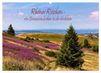 Rhöner Röschen - ein Sommermärchen in der Hochrhön (Wandkalender 2027 DIN A2 quer), CALVENDO Monatskalender