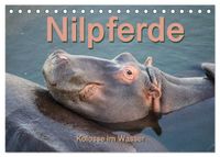 Nilpferde, Kolosse im Wasser (Tischkalender 2027 DIN A5 quer), CALVENDO Monatskalender