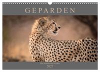Geparden - Die Schönheiten Afrikas (Wandkalender 2027 DIN A3 quer), CALVENDO Monatskalender