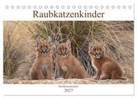 Raubkatzenkinder (Tischkalender 2027 DIN A5 quer), CALVENDO Monatskalender
