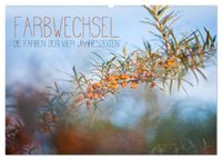 Farbwechsel - Die Farben der vier Jahreszeiten (Wandkalender 2027 DIN A2 quer), CALVENDO Monatskalender