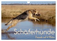 Schäferhunde - Freunde auf 4 Pfoten (Wandkalender 2027 DIN A4 quer), CALVENDO Monatskalender