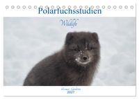 Polarfuchsstudien Wildlife (Tischkalender 2027 DIN A5 quer), CALVENDO Monatskalender