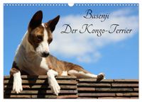 Basenji, der Kongo-Terrier (Wandkalender 2027 DIN A3 quer), CALVENDO Monatskalender