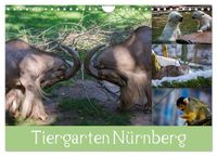Tiergarten Nürnberg (Wandkalender 2027 DIN A4 quer), CALVENDO Monatskalender
