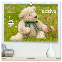 Geliebte Bären - Teddys (hochwertiger Premium Wandkalender 2027 DIN A2 quer), Kunstdruck in Hochglanz