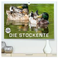 Emotionale Momente: Die Stockente. (hochwertiger Premium Wandkalender 2027 DIN A2 quer), Kunstdruck in Hochglanz