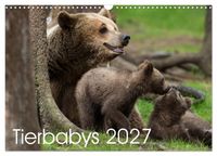 Tierbabys 2027 (Wandkalender 2027 DIN A3 quer), CALVENDO Monatskalender