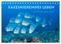 Faszinierendes Leben unter Wasser (Tischkalender 2027 DIN A5 quer), CALVENDO Monatskalender