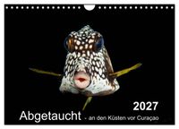Abgetaucht - an den Küsten vor Curaçao (Wandkalender 2027 DIN A4 quer), CALVENDO Monatskalender