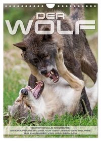 Emotionale Momente: Der Wolf. (Wandkalender 2027 DIN A4 hoch), CALVENDO Monatskalender