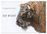 Emotionale Momente: Der Wisent. (Wandkalender 2027 DIN A3 quer), CALVENDO Monatskalender