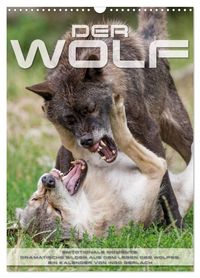 Emotionale Momente: Der Wolf. (Wandkalender 2027 DIN A3 hoch), CALVENDO Monatskalender