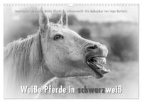 Emotionale Momente: Weiße Pferde in schwarzweiß. (Wandkalender 2027 DIN A3 quer), CALVENDO Monatskalender
