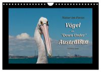 Vögel von 