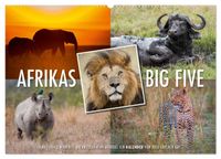 Emotionale Momente: Afrikas Big Five (Wandkalender 2027 DIN A2 quer), CALVENDO Monatskalender
