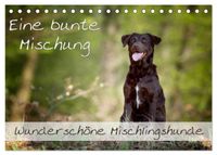 Eine bunte Mischung - wunderschöne Mischlingshunde / Geburtstagskalender (Tischkalender 2027 DIN A5 quer), CALVENDO Monatskalender