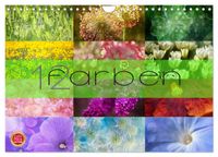 12 Farben (Wandkalender 2027 DIN A4 quer), CALVENDO Monatskalender