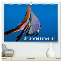 Unterwasserwelten (hochwertiger Premium Wandkalender 2027 DIN A2 quer), Kunstdruck in Hochglanz