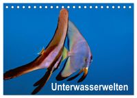 Unterwasserwelten (Tischkalender 2027 DIN A5 quer), CALVENDO Monatskalender