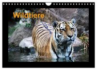Wildtiere (Wandkalender 2027 DIN A4 quer), CALVENDO Monatskalender