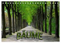Bäume 2027 (Tischkalender 2027 DIN A5 quer), CALVENDO Monatskalender