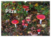 Pilze (Wandkalender 2027 DIN A3 quer), CALVENDO Monatskalender