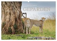 Emotionale Momente: Geparden (Wandkalender 2027 DIN A2 quer), CALVENDO Monatskalender