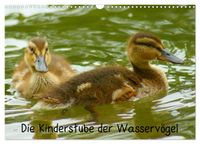 Die Kinderstube der Wasservögel (Wandkalender 2027 DIN A3 quer), CALVENDO Monatskalender