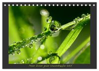 Meine kleine grüne Wassertropfen Welt (Tischkalender 2027 DIN A5 quer), CALVENDO Monatskalender