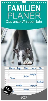 Familienplaner 2027 - Das erste Whippet-Jahr mit 5 Spalten (Wandkalender, 21 x 45 cm) CALVENDO