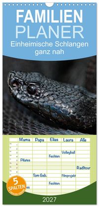 Familienplaner 2027 - Einheimische Schlangen ganz nah mit 5 Spalten (Wandkalender, 21 x 45 cm) CALVENDO