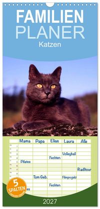 Familienplaner 2027 - Katzen mit 5 Spalten (Wandkalender, 21 x 45 cm) CALVENDO