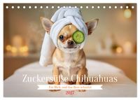 Zuckersüße Chihuahuas (Tischkalender 2027 DIN A5 quer), CALVENDO Monatskalender