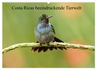 Costa Ricas beeindruckende Tierwelt (Wandkalender 2027 DIN A2 quer), CALVENDO Monatskalender
