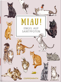 MIAU! - Engel auf Samtpfoten