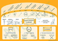 Lektüre-Postersets / Lektüre-Posterset Caesar