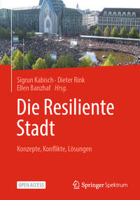 Die Resiliente Stadt