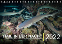 Haie in der Nacht (Tischkalender immerwährend DIN A5 quer)