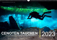 Cenoten Tauchen (Wandkalender immerwährend DIN A3 quer)