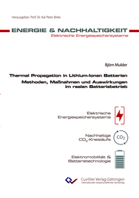 Thermal Propagation in Lithium-Ionen Batterien