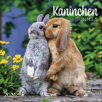 Kaninchen 2026