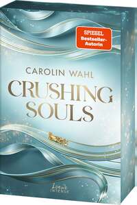 Crushing Souls (Driven Dreams-Dilogie, Band 1)