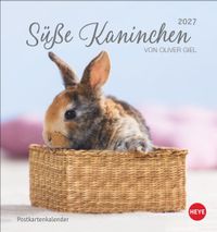Süße Kaninchen Postkartenkalender 2027