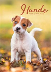 Hunde 2027