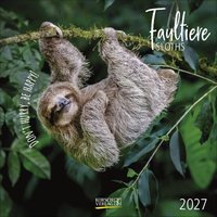 Faultier 2027
