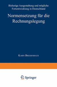 Normensetzung für die Rechnungslegung