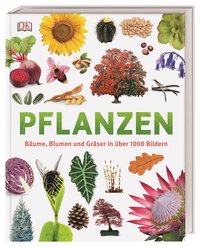 Unsere Welt in 1000 Bildern. Pflanzen